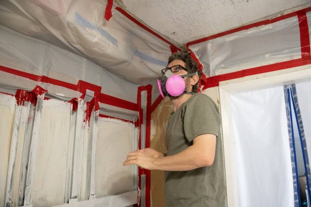 Best Mold Damage Restoration  in Dagsboro, DE