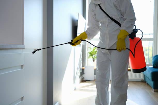 Best Mold Prevention Services  in Dagsboro, DE